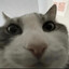 hori