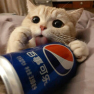 我有医保我先上。