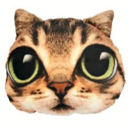 -kefirchik? or noSok?