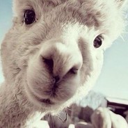 倔强的老年CS1.5玩家