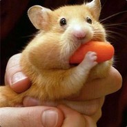 Pocok - steam id 76561198823176128