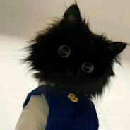 今天不能再熬夜了