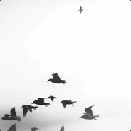 如同狗一样狼狈