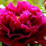 阿巴阿巴打夺夺