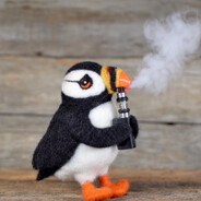 Puffin