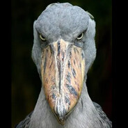 ()()()()()()()()()()()()()()()90