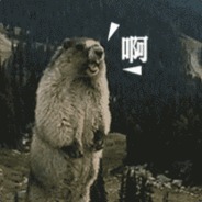 原谅我多情的打扰