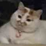 牛，来包三鲜伊面