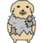 mroze