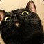AFRIKAN KITTY