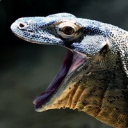 fireraptore - steam id 76561197965496598