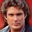 David Hasselhoff™