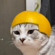 脆脆薯蘸麦旋风