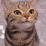 别把故事说给她听