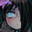 SleepyAcid avatar