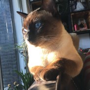 魅力云南丶病孩子CsAt﹏*