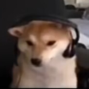 粉虹毛猫兔 皮皮