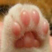 施法时不小心露出脚踝的高等精灵大姐姐