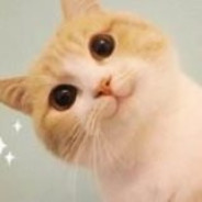 金牛座喵喵^. .^