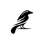 Raven