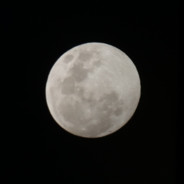 𝑮𝒆𝒏𝒆𝒓𝒂𝒍