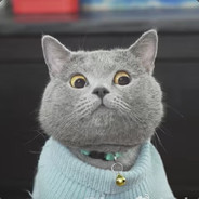 🐾~吸猫成瘾肥皂~🐾