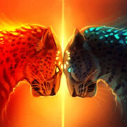 Cheetah291︻芫===-----