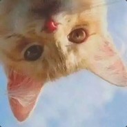 463.53.5365