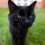 Deimos