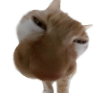 纯情蟑螂火辣辣