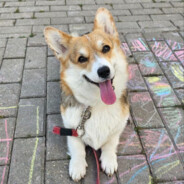 6479 - steam id 76561198051596384