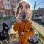 Накуканил огурец