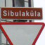 Sibulamoos