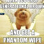 phantom wipe