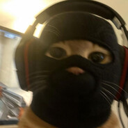 Mr.timkko avatar