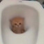 debikv