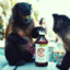 Monkey Moves