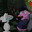 wastedmymind avatar