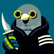 a13x_ - steam id 76561199169987785
