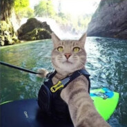 ℂ𝕙𝕦𝕕𝕟𝕠1<VecTor