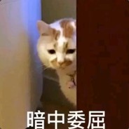 球球你别救我啦