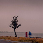 重生之我是普信男