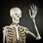LonelyBones