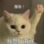 Catherine_OK!