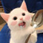 Noyiichi