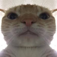 Avatar snapshot