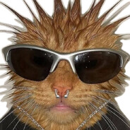 ✪ 𝘾𝙍𝙀𝙀𝘽𝙐𝙎