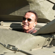 Iron Arnieee
