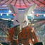 White Rabbit