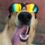 Good Boy